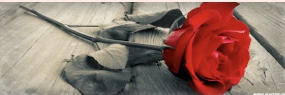 allawi__1992's profile banner image