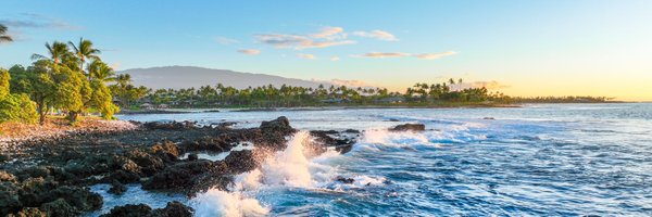 CStephenson_MD Profile Banner