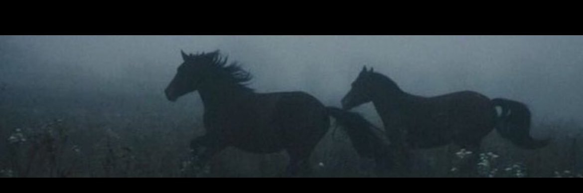 benseninnanonim's profile banner image