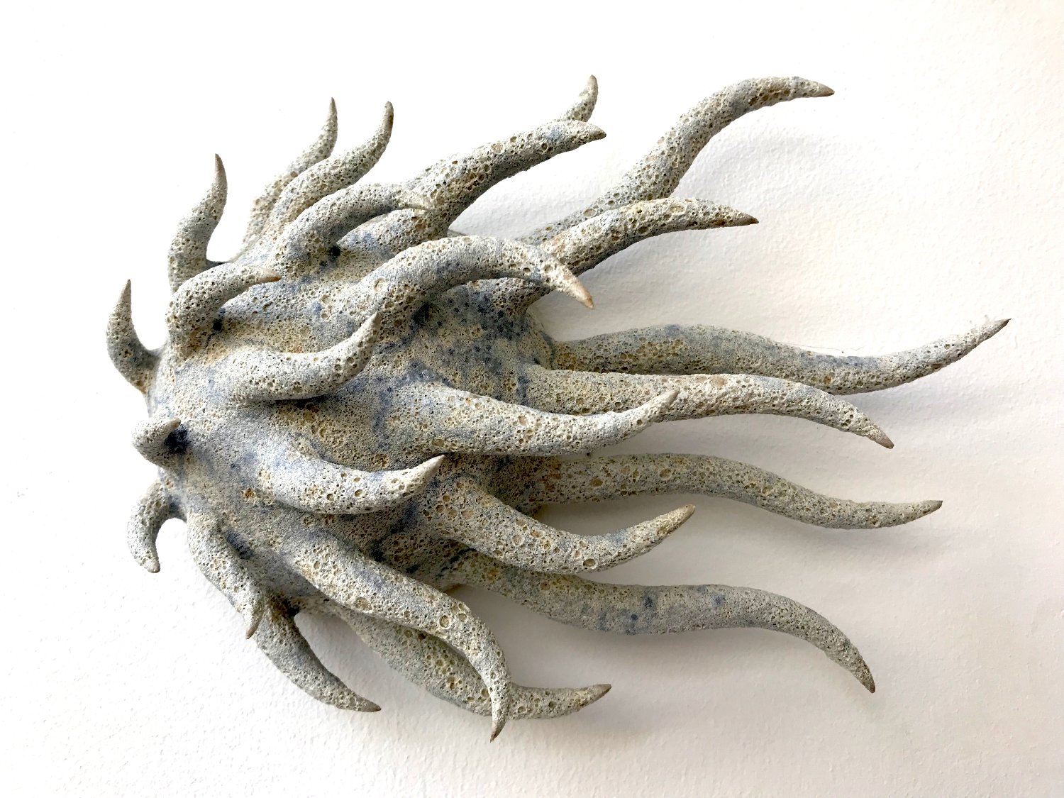Jillsutcliffe4's profile banner image