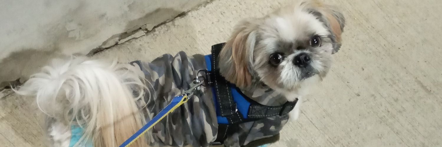 OGingy's profile banner image
