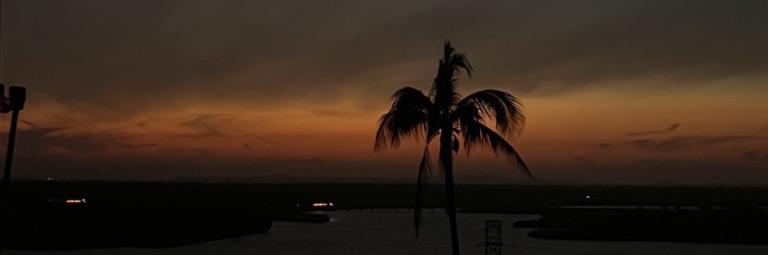 userv_3's profile banner image