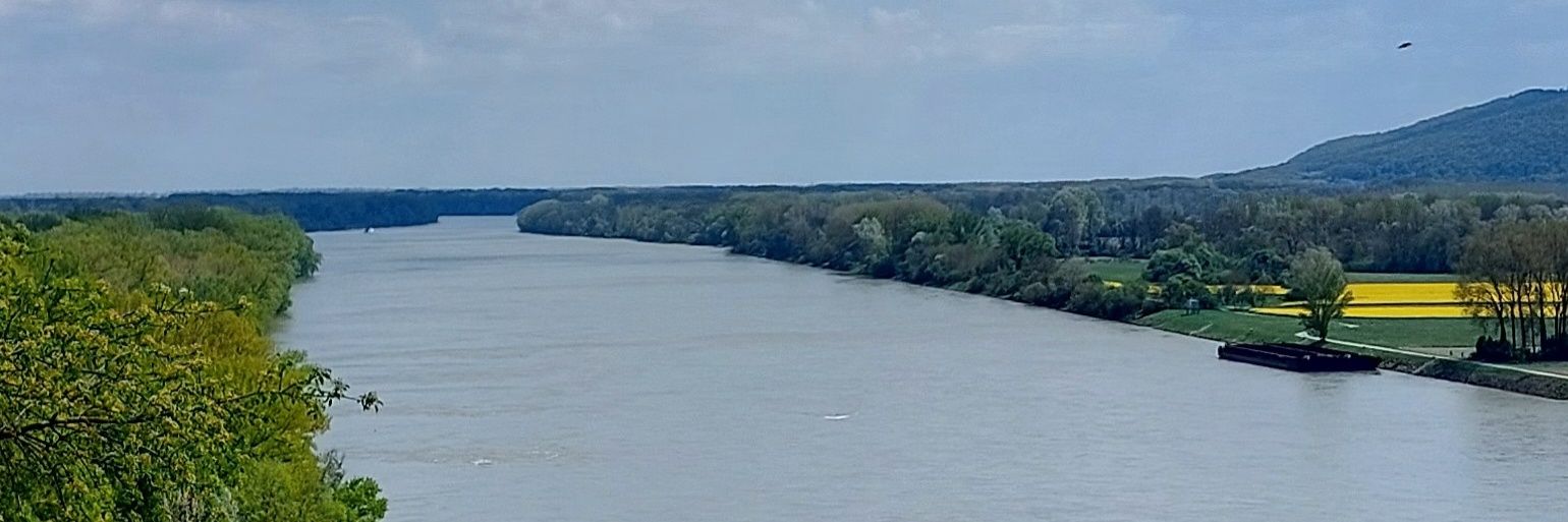 Nicolò Cecchetto banner