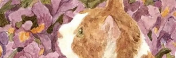 brookers150's profile banner image
