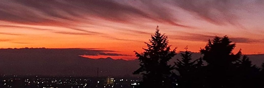 nilscarrasco's profile banner image
