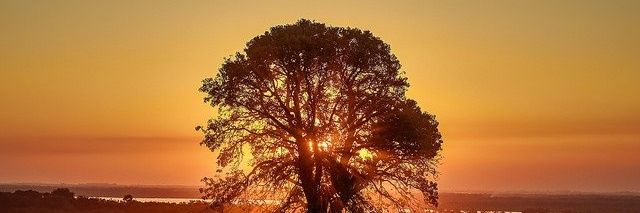dan_pachecoo's profile banner image
