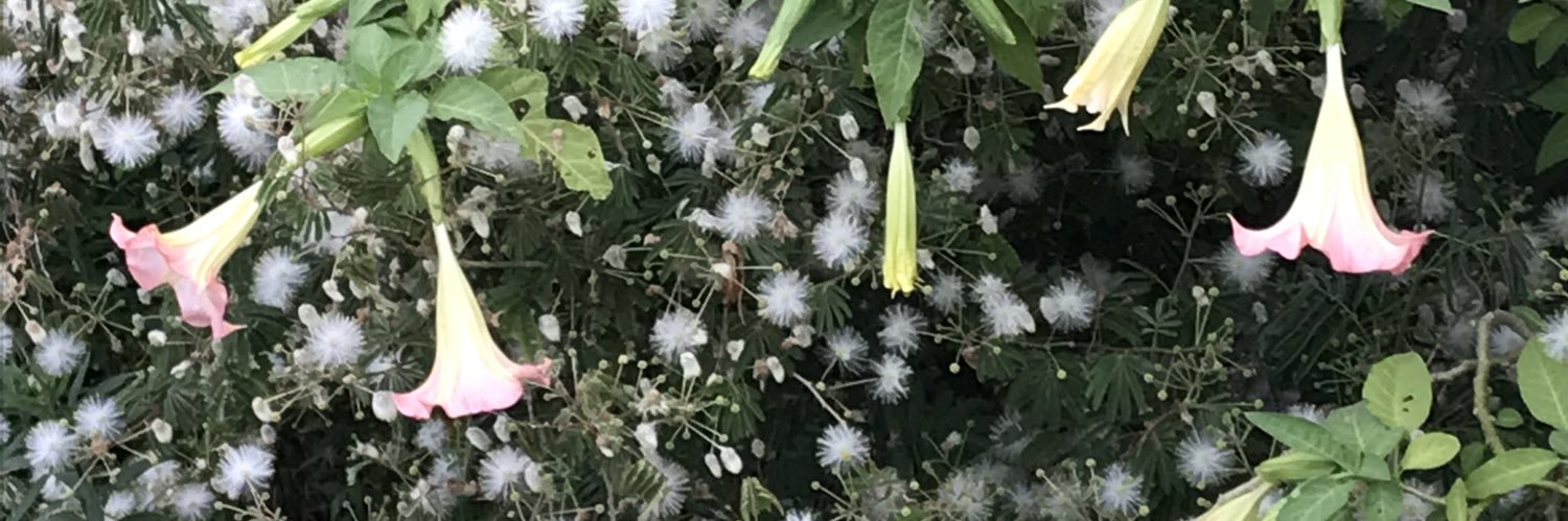 下妻みどり banner