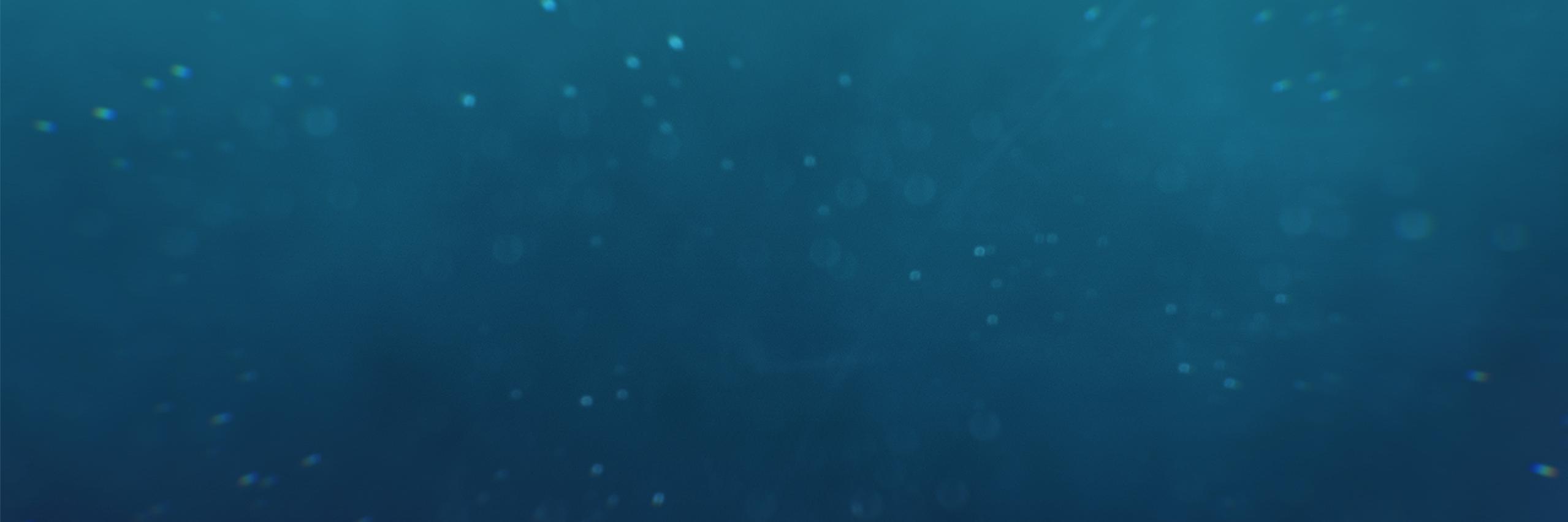 xephonia's profile banner image