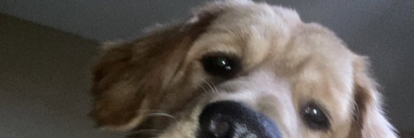 yuhhrhex Profile Banner