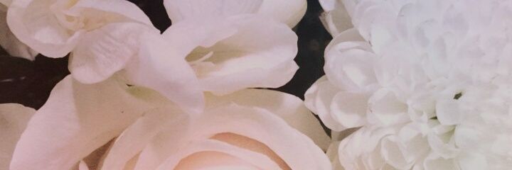 flormontevrde's profile banner image