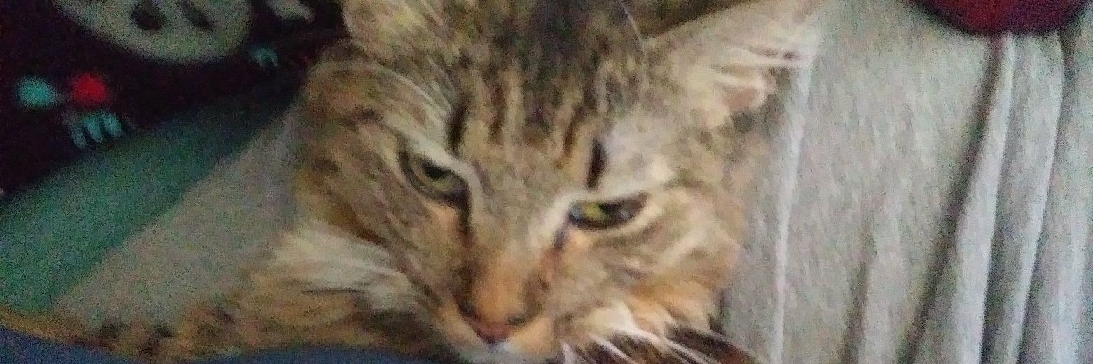 Princess Artsey Randomness (C0MMS OPEN! 0/3) banner