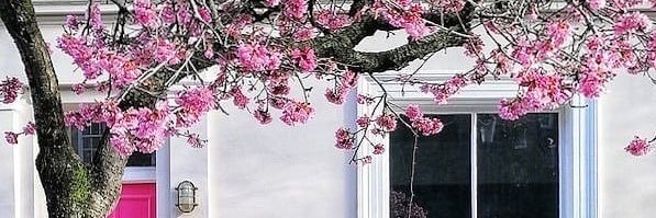 negativescals's profile banner image