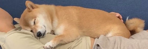 facco0930's profile banner image