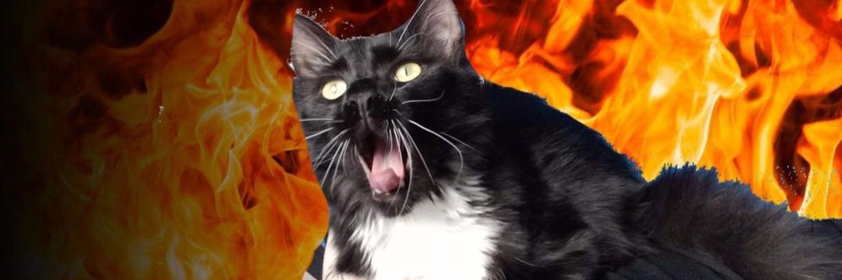 baudelart's profile banner image