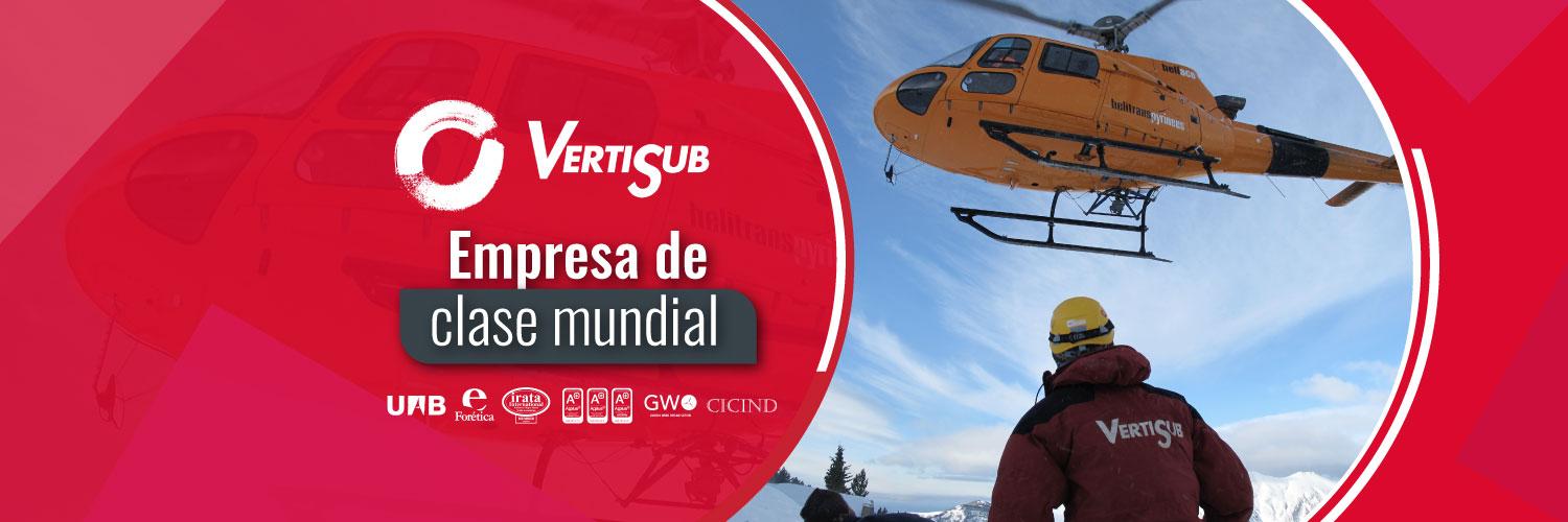 Vertisub's profile banner image