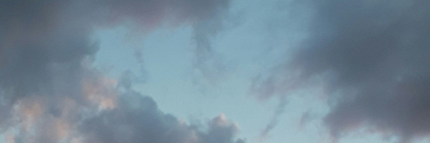 juufroelich's profile banner image