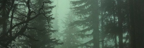 fromHell1349's profile banner image