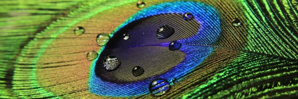 GTMIT Profile Banner
