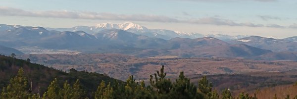 EPronizius Profile Banner