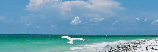 marcusgrimm Profile Banner