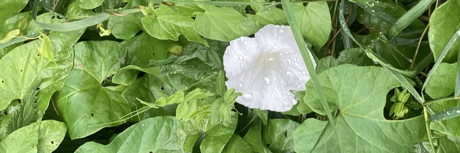 colettecasey20's profile banner image