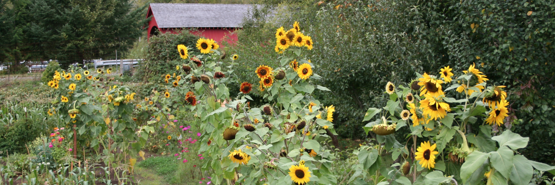 James Q. Jacobs banner