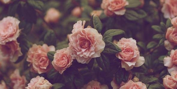 StaSerendipity's profile banner image