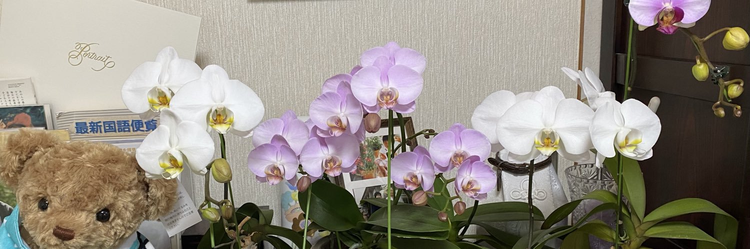 リトルトランク banner