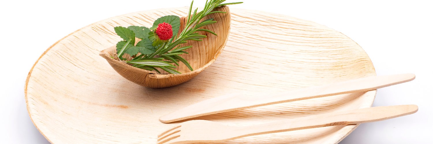 palmplatesindia's profile banner image