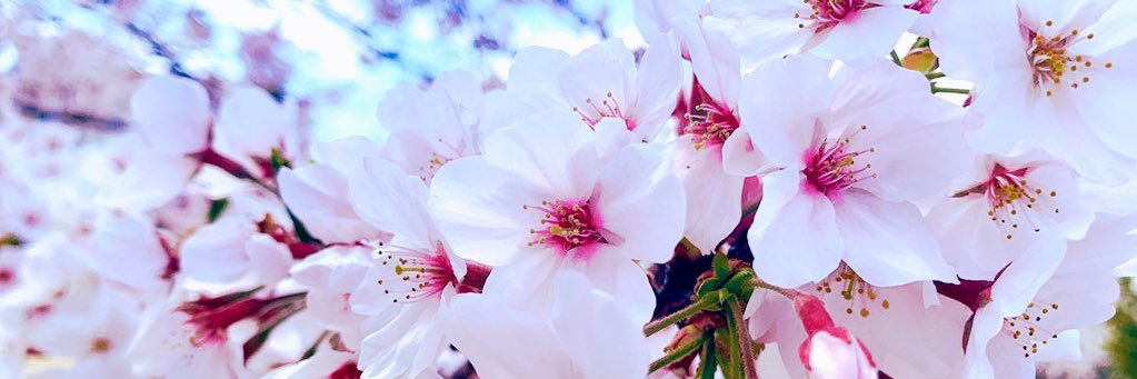 mzk_12's profile banner image