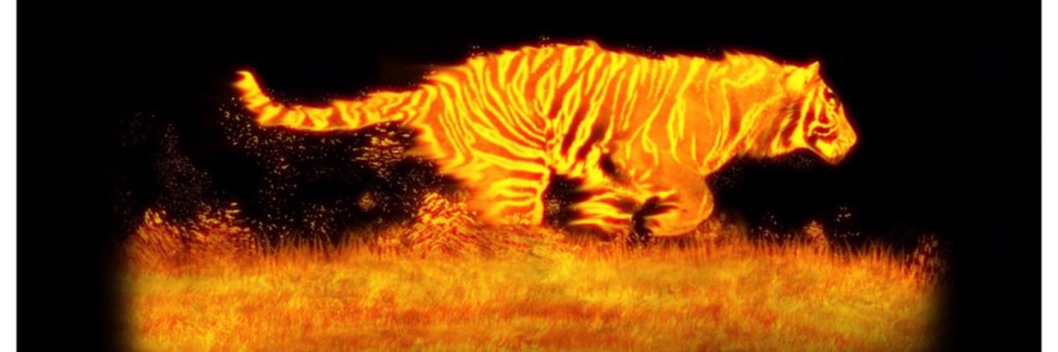 angel_galvan's profile banner image