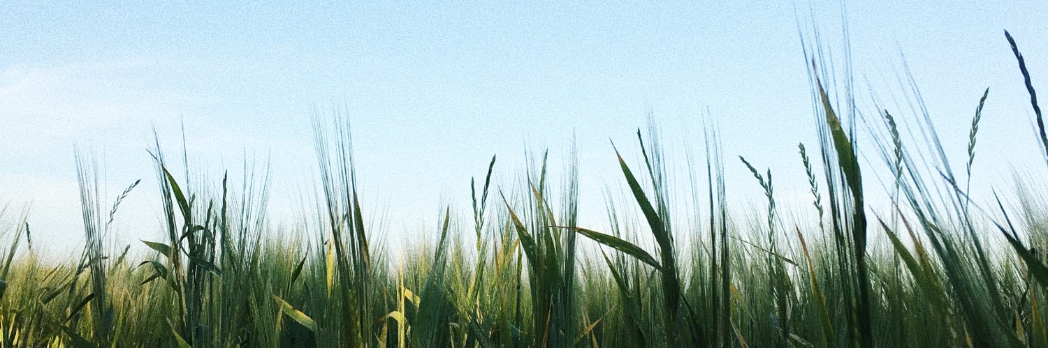 Atelophobia__'s profile banner image