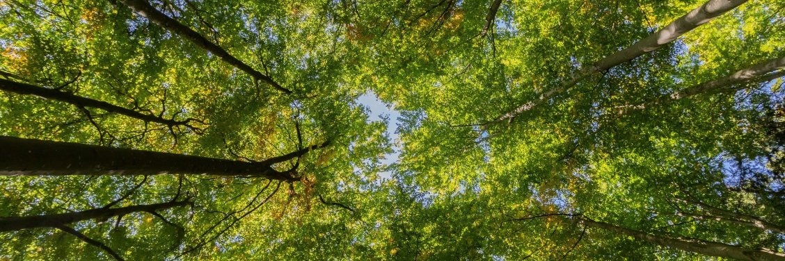 Go Climate Positive banner