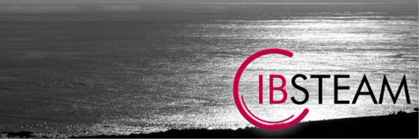 ibsteam_caib Profile Banner