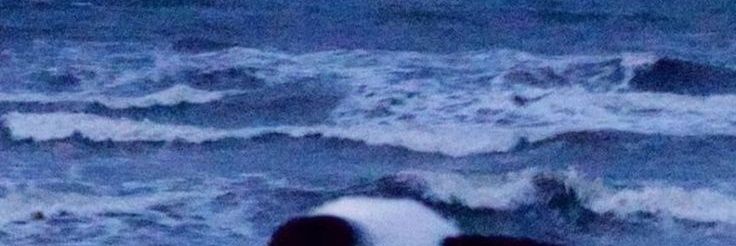 I banner