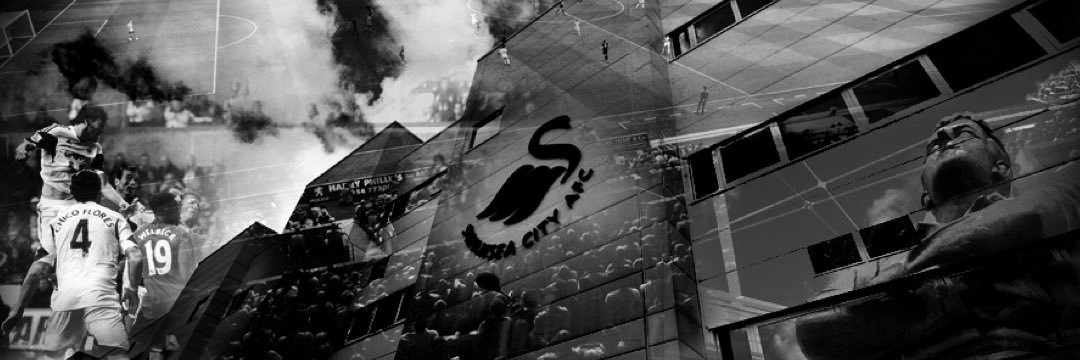 t morg banner