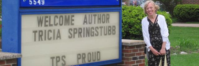 springstubb's profile banner image