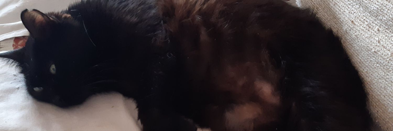 Tizzy251170's profile banner image
