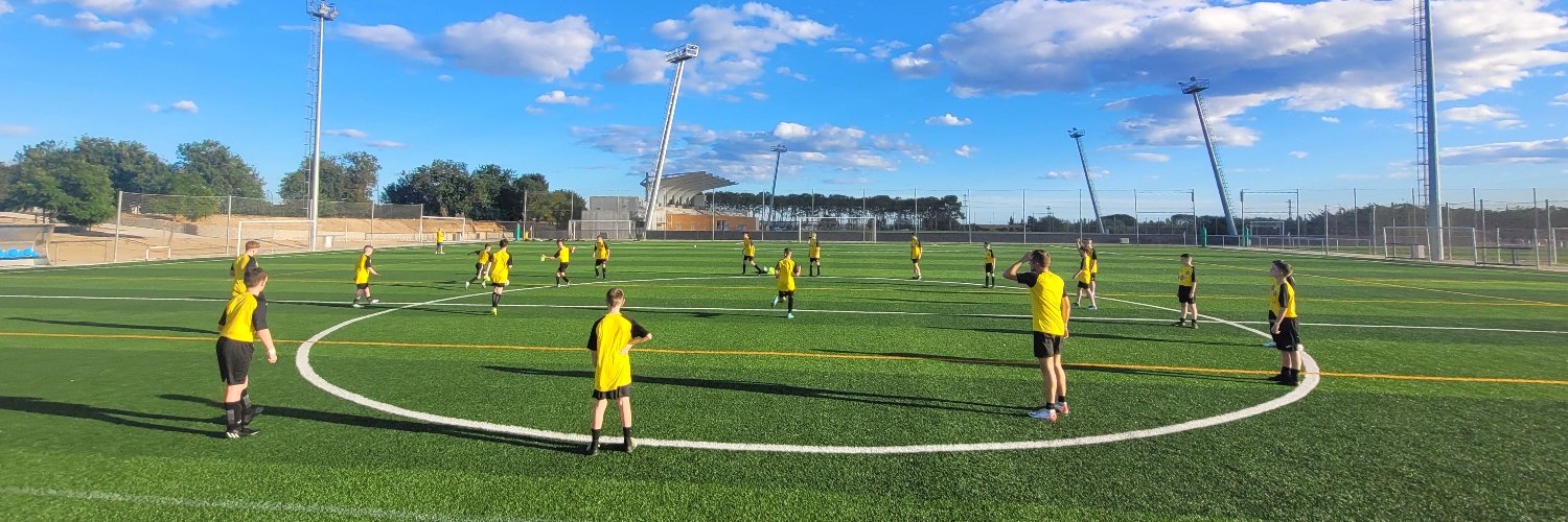 St Mirren YFC 2010 banner