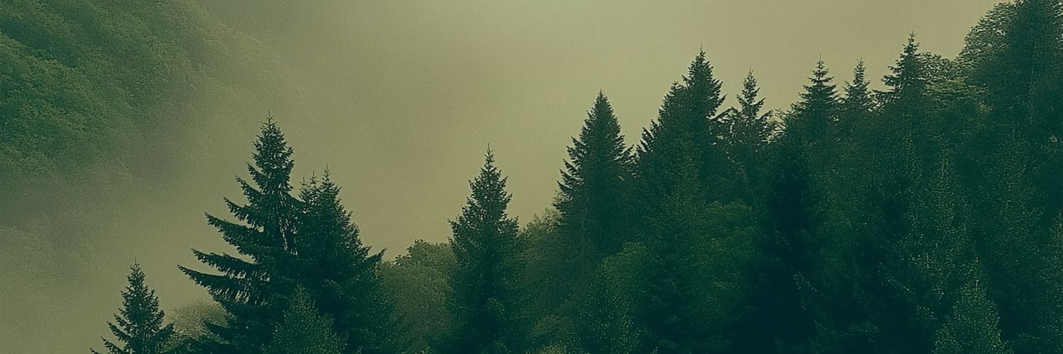 imWilfred's profile banner image