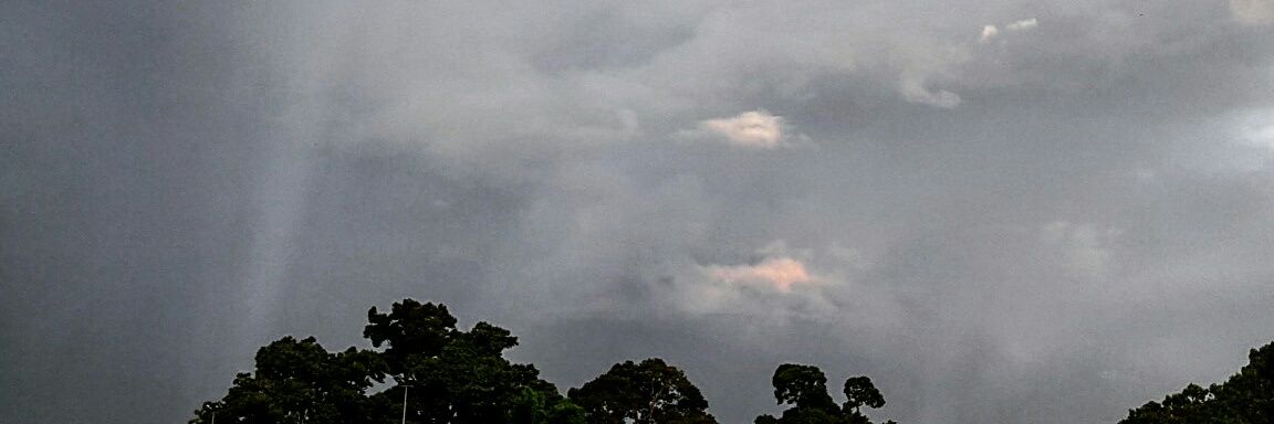 jijan16's profile banner image