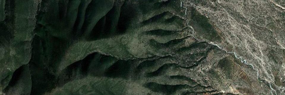 Marcela Armas banner