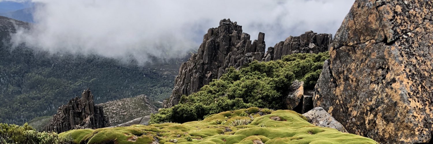 fourfeetpeak's profile banner image