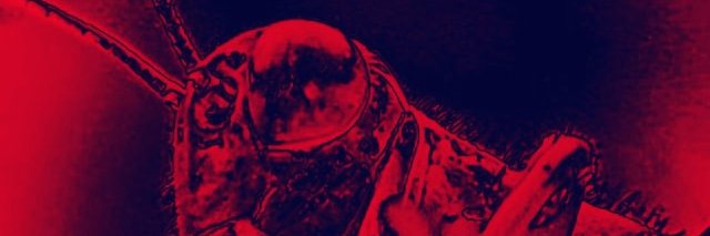 TimDeturk's profile banner image