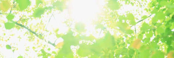 Dr_kurukuru Profile Banner