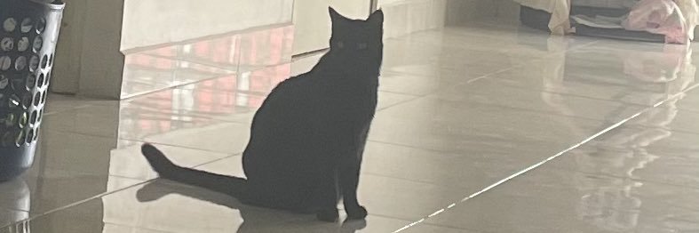 alfonso3333's profile banner image