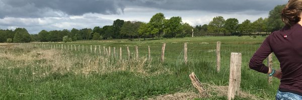 CBenkowitz Profile Banner