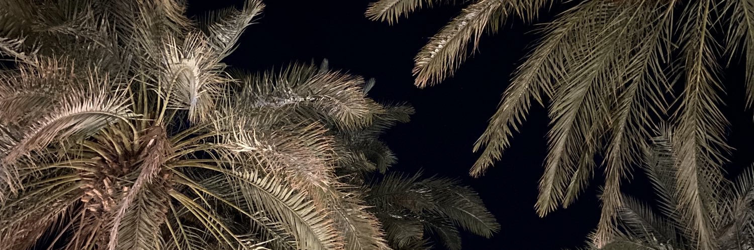 𝒩 banner