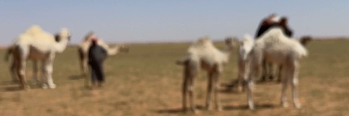 502xxXx's profile banner image