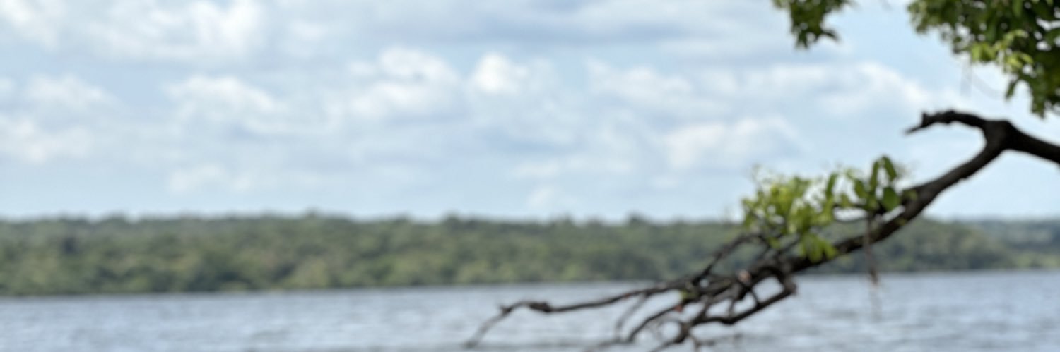 anicolelima's profile banner image